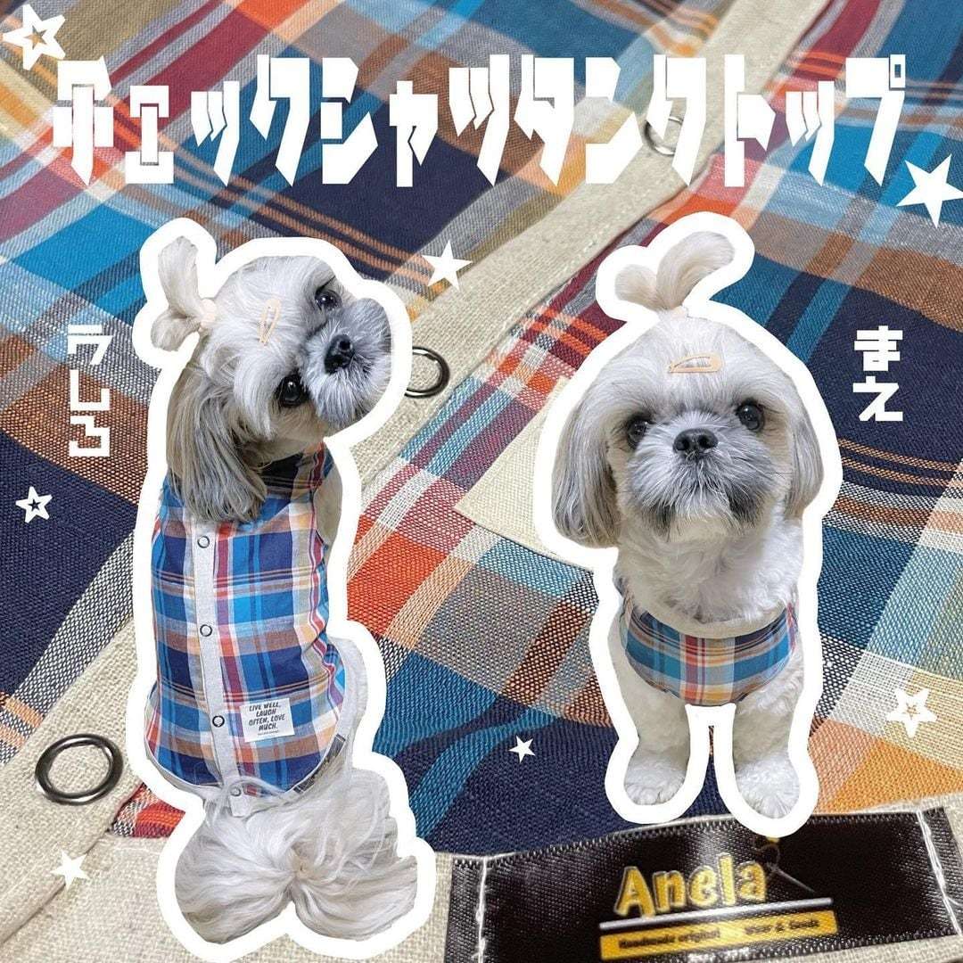 ハンドメイド　犬服　ルーク 20230612074017.jpg
