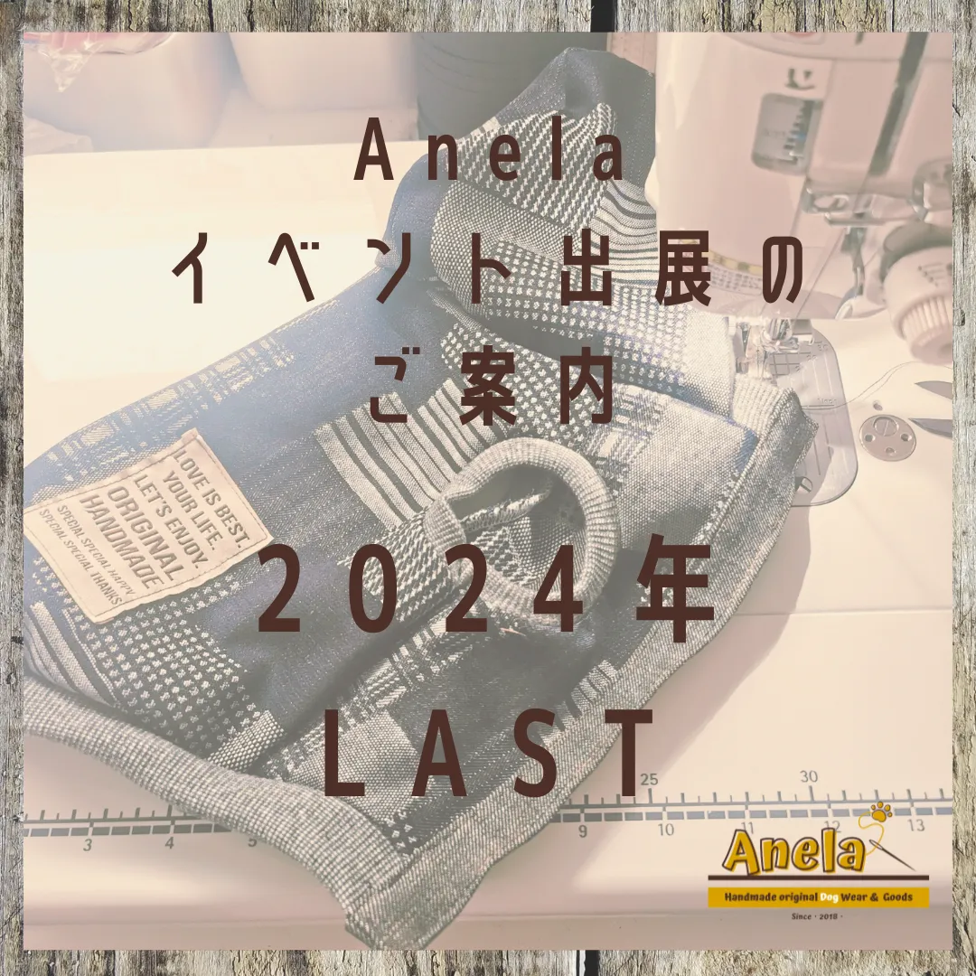 2024年　出展LAST情報☆