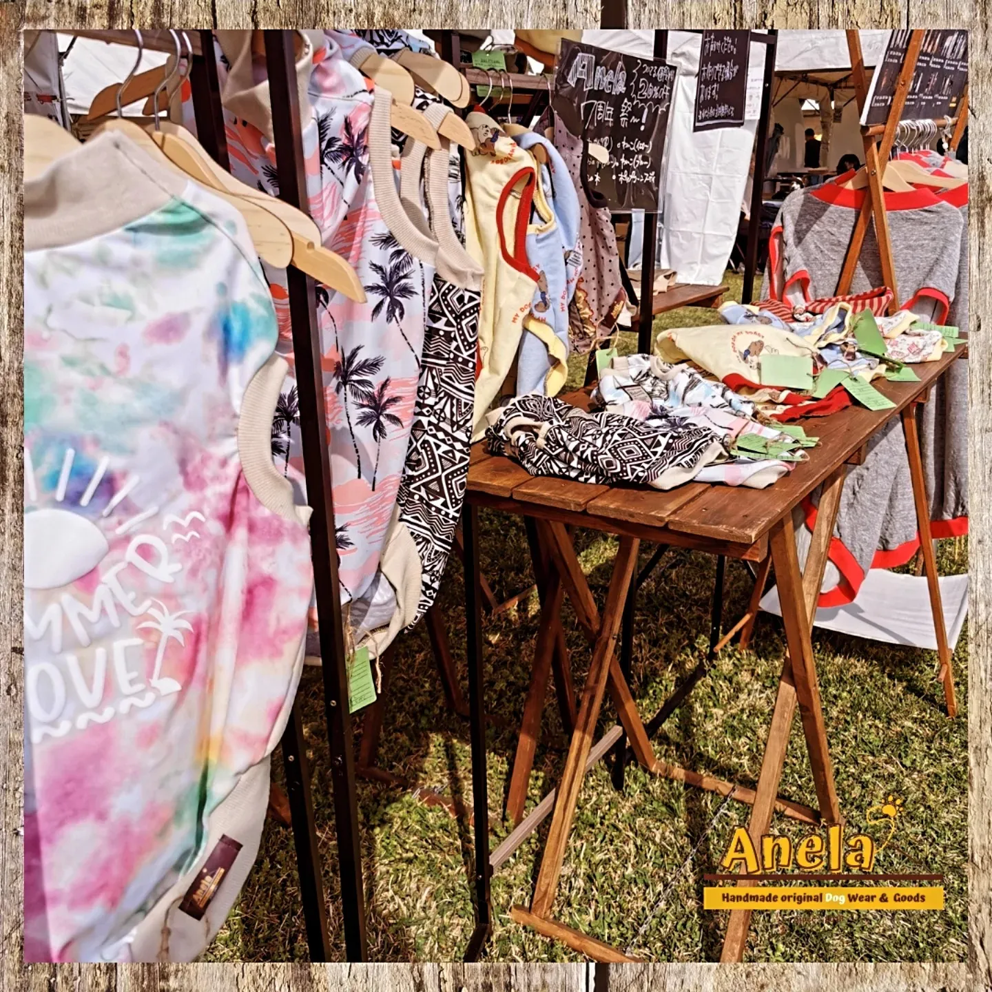 わんだふる山口2025　1日目☆ありがとうございました☆