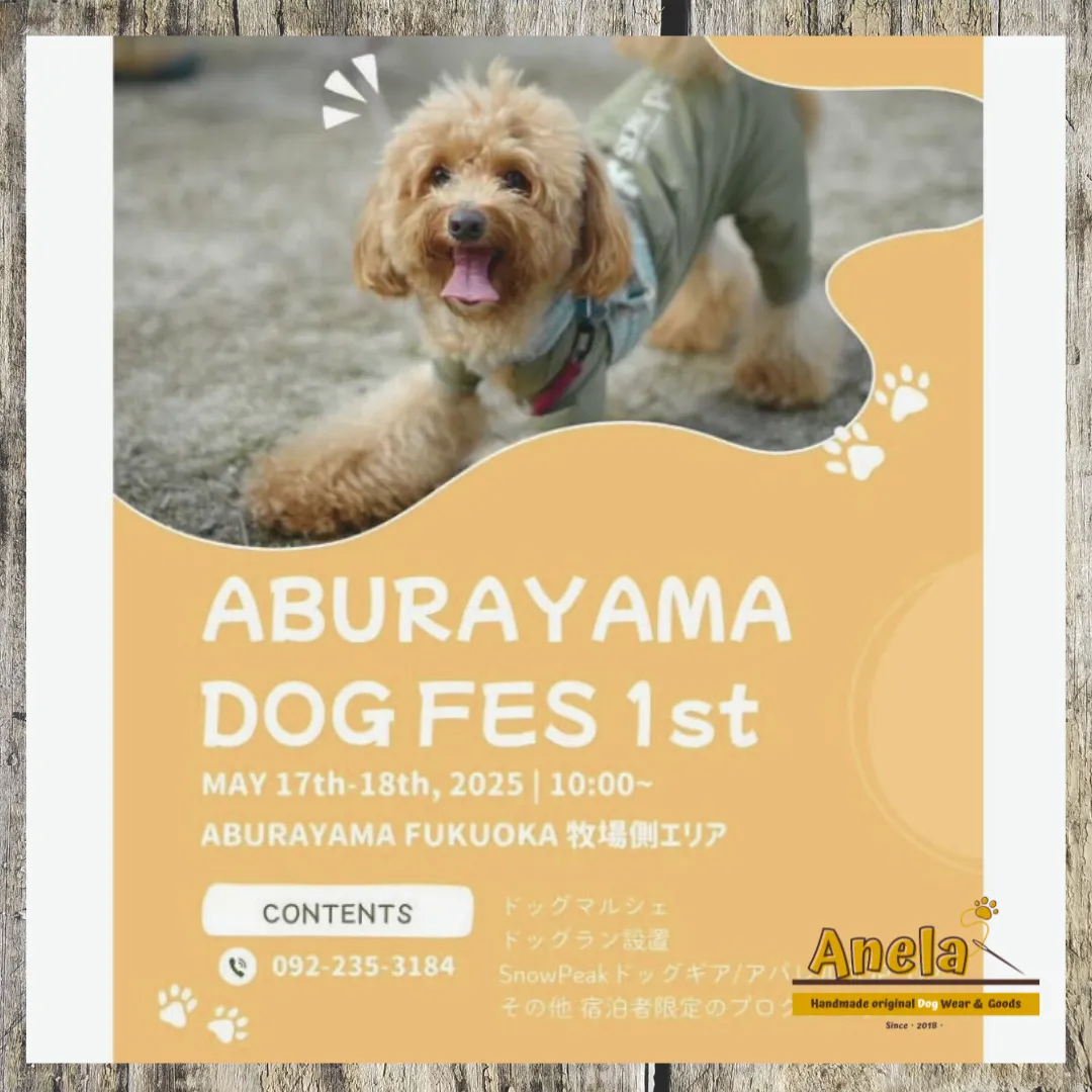 今週末は「ABURAYAMA DOG FES 1st」へ😊