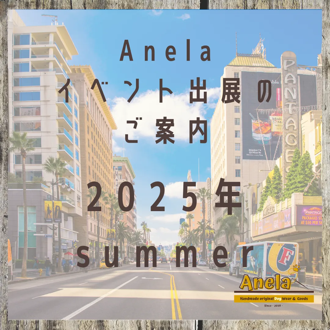 2025年summer☆出展のご案内☆