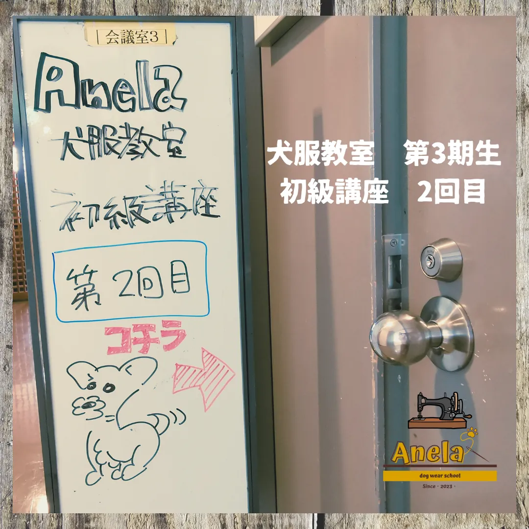 犬服教室　第3期生　2回目☆本日、開催いたしました☆