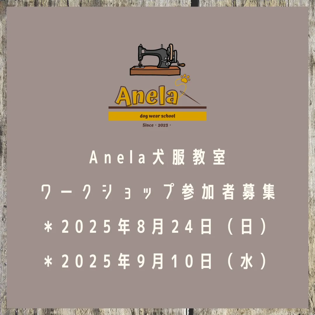 ワークショップ参加者募集中です😊💕