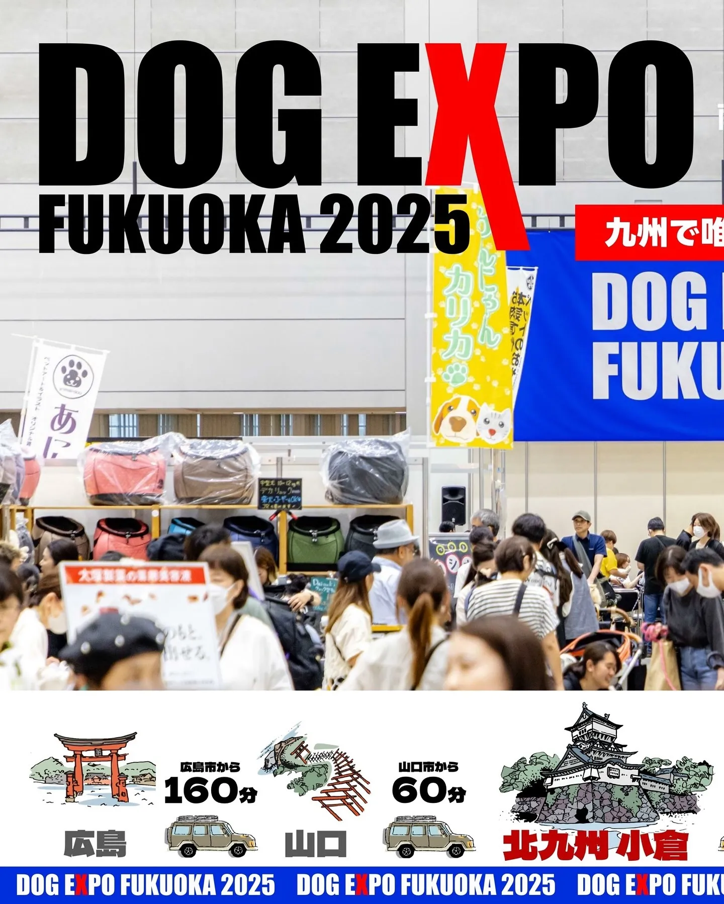 今週末は「DOG EXPO FUKUOKA 2025」へ✨