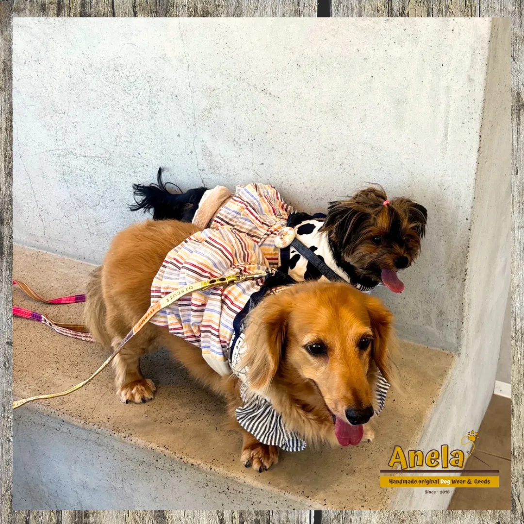 素敵なお写真のご紹介☆『吉まるちゃん』と『樹ちゃん』😊💕