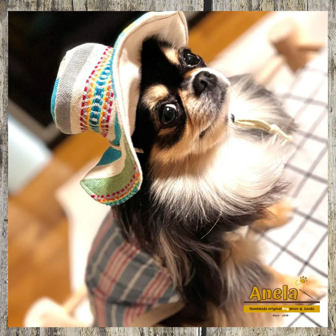 素敵なお写真のご紹介☆『アリシアちゃん』😊💕