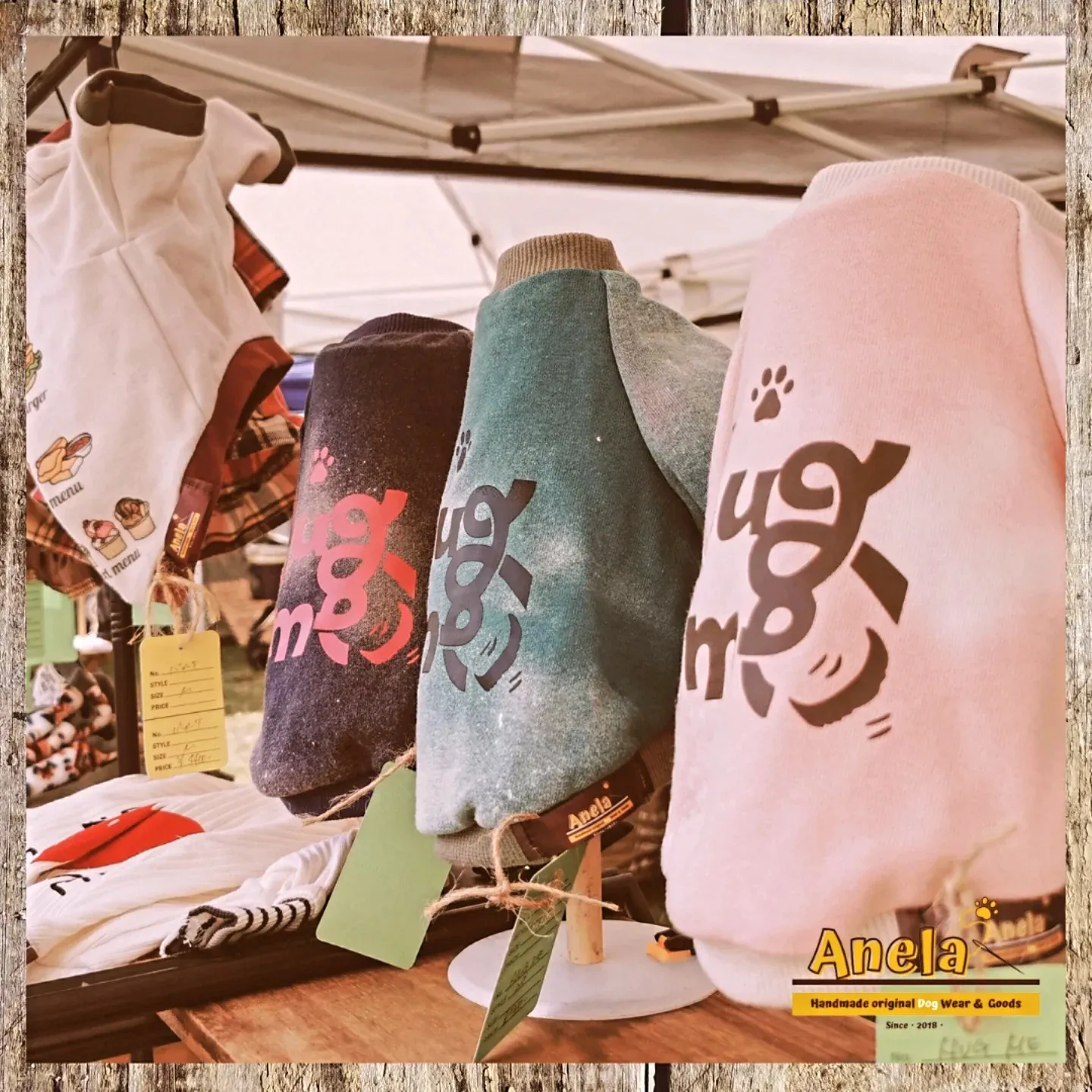 ダックスJAM　ありがとうございました😊💕