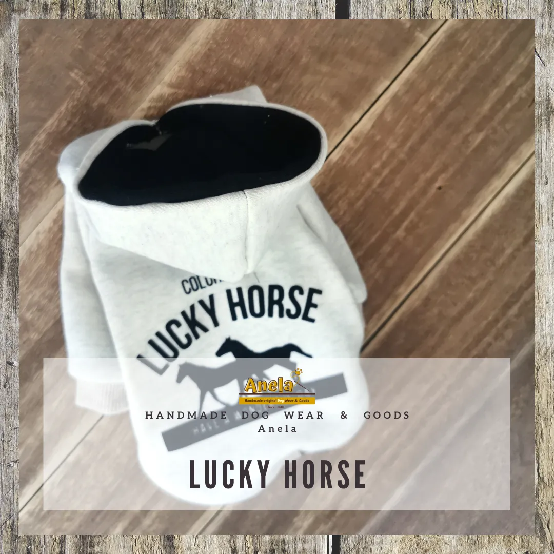 ☆new☆  lucky horse　シンプルフーディ☆