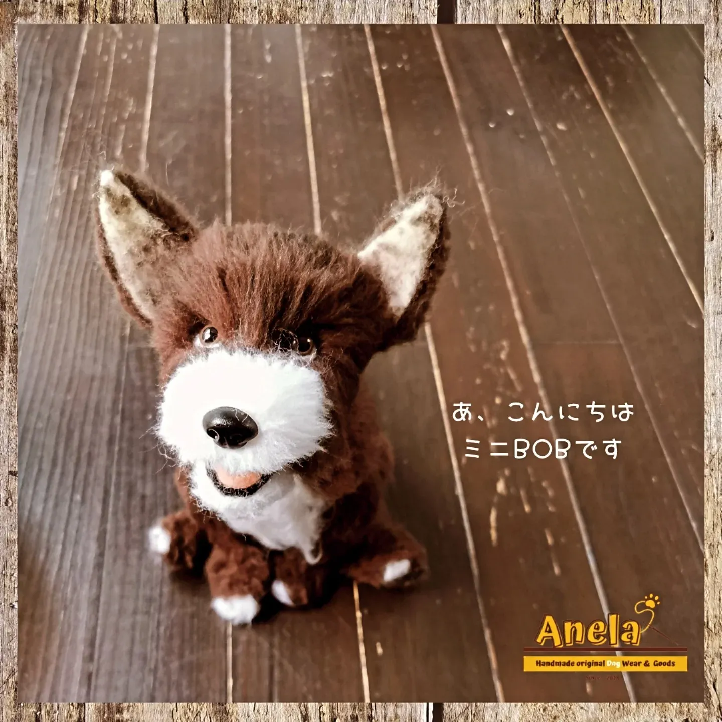 ども。ミニBOBです😊