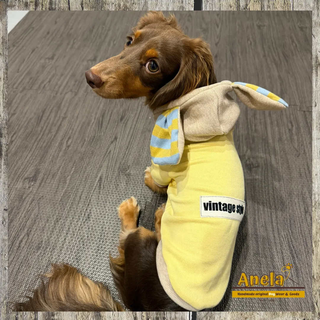 素敵なお写真のご紹介☆