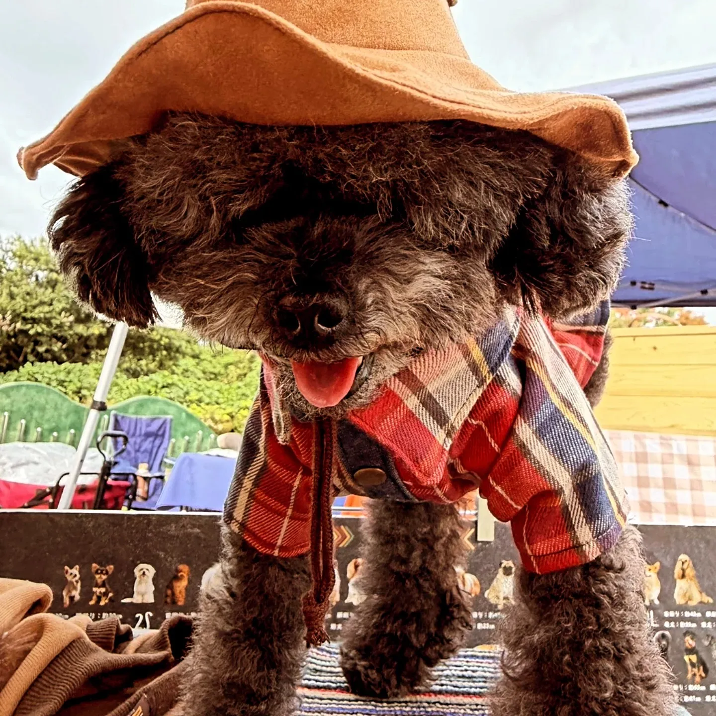 わんわん&メダカマルシェ🐶ありがとうございました☆