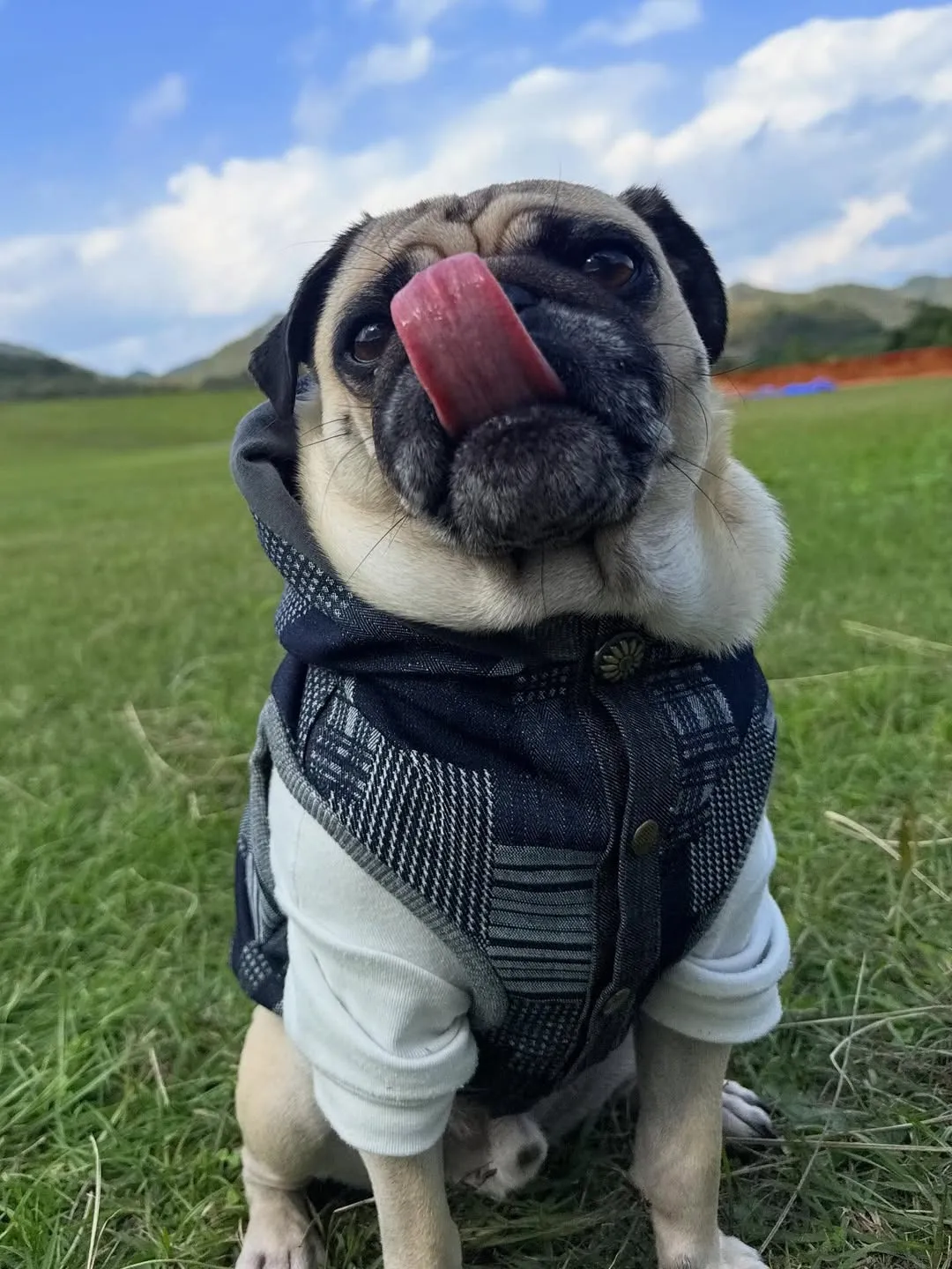 素敵なお写真のご紹介☆『福くん』😊💕