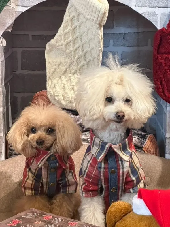 素敵なお写真のご紹介☆素敵な『ハルくん』と『ルナちゃん』😊💕