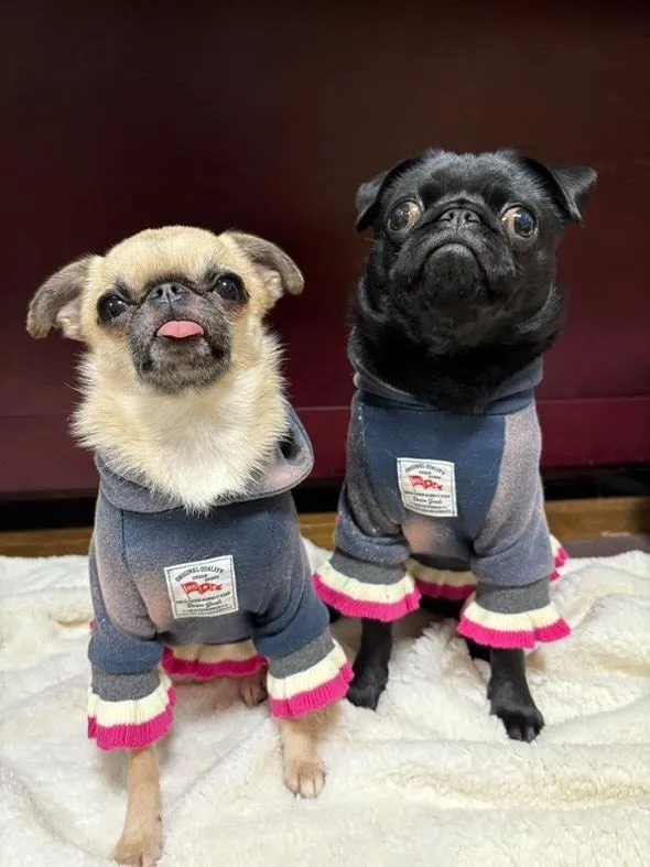 可愛いお写真のご紹介☆『ちゅらちゃん』と『しぇりちゃん』😊💕