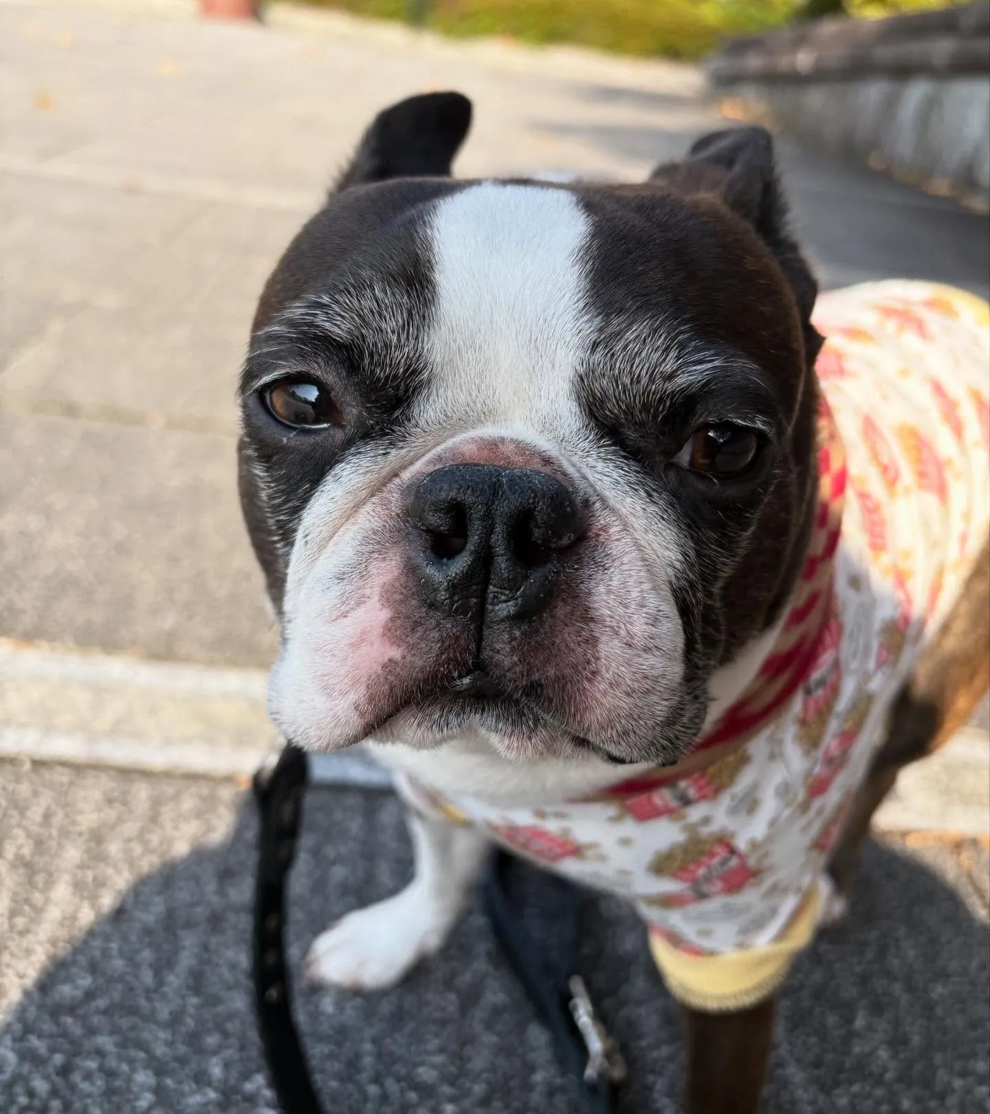 可愛いお写真のご紹介☆『ばじるちゃん』😊☆