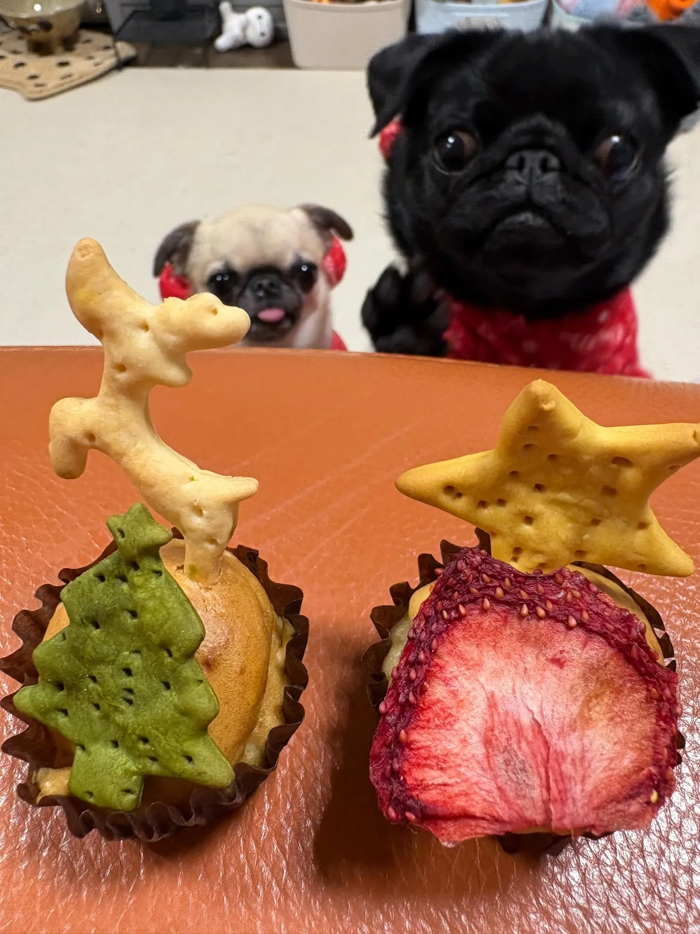 ✨🎄Merry Merry Christmas🎄✨