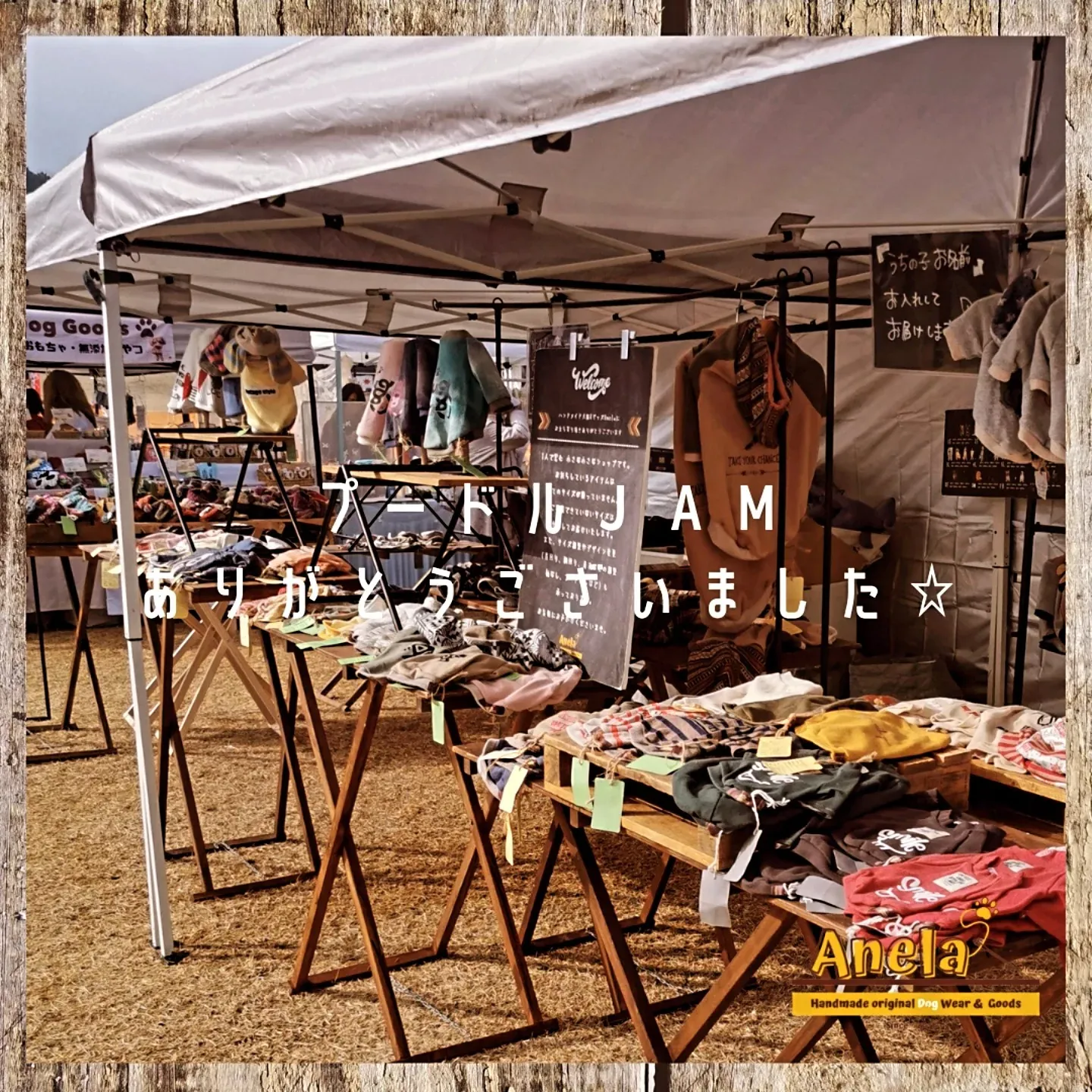 プードルJAM☆ありがとうございました☆