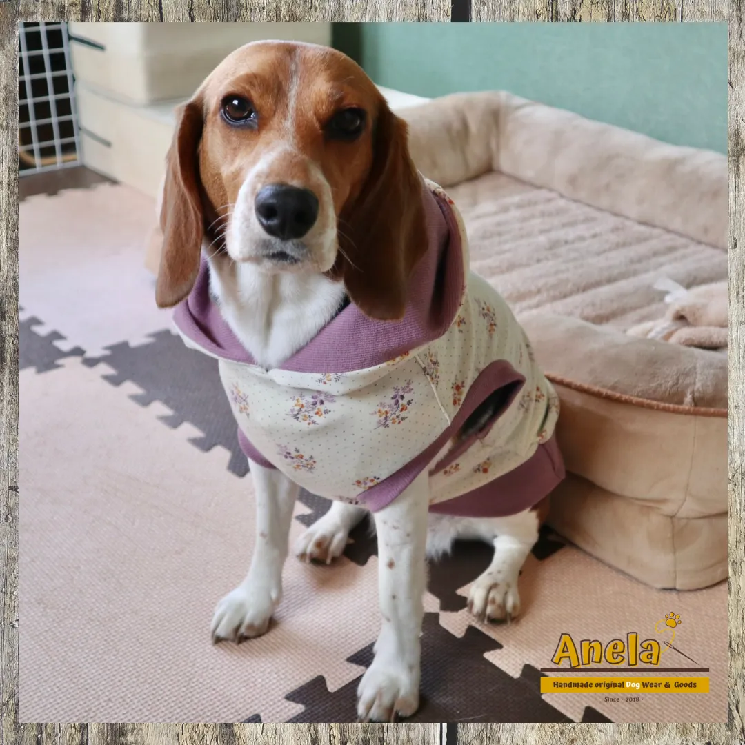 素敵なお写真のご紹介☆