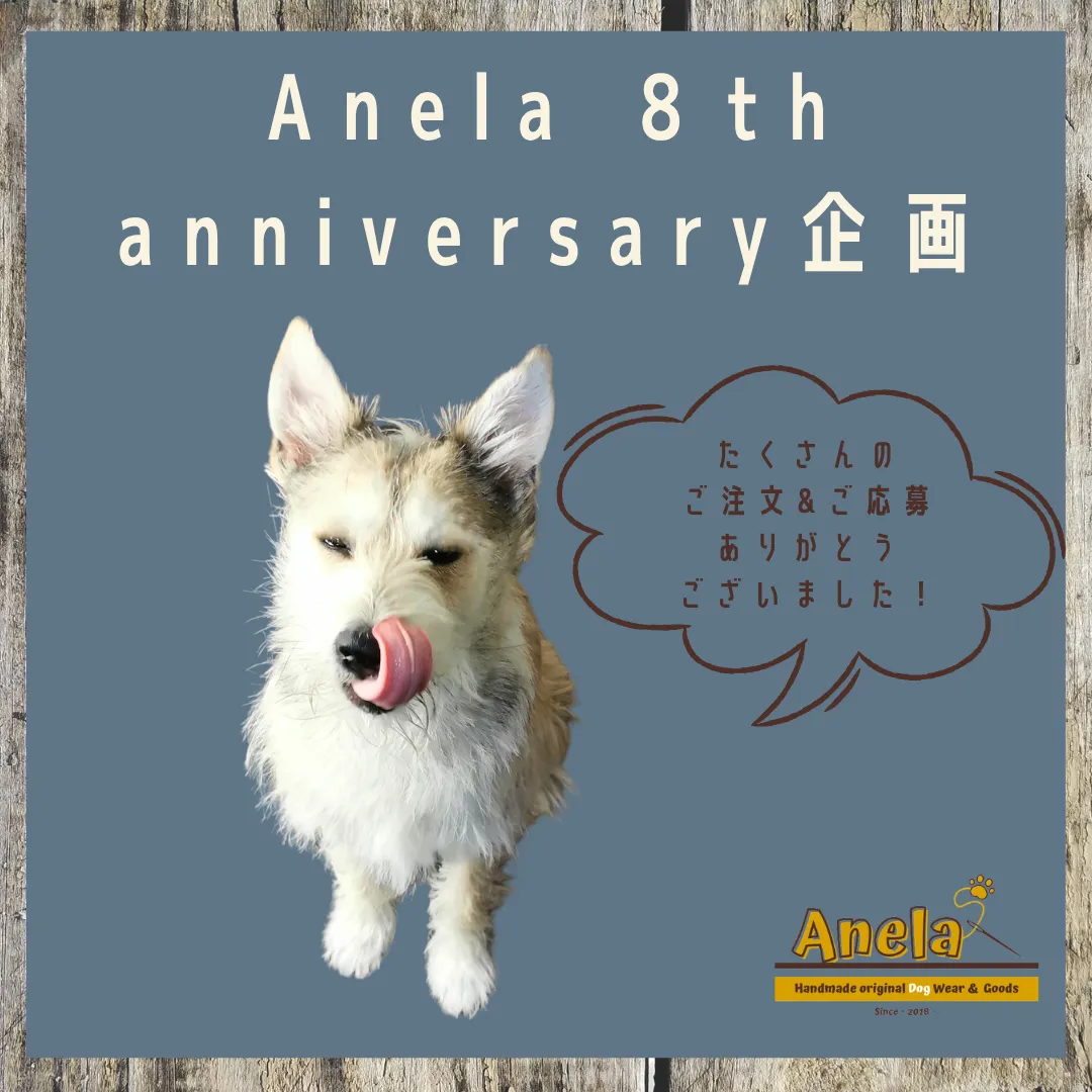 anniversary企画✨ありがとうございました😊