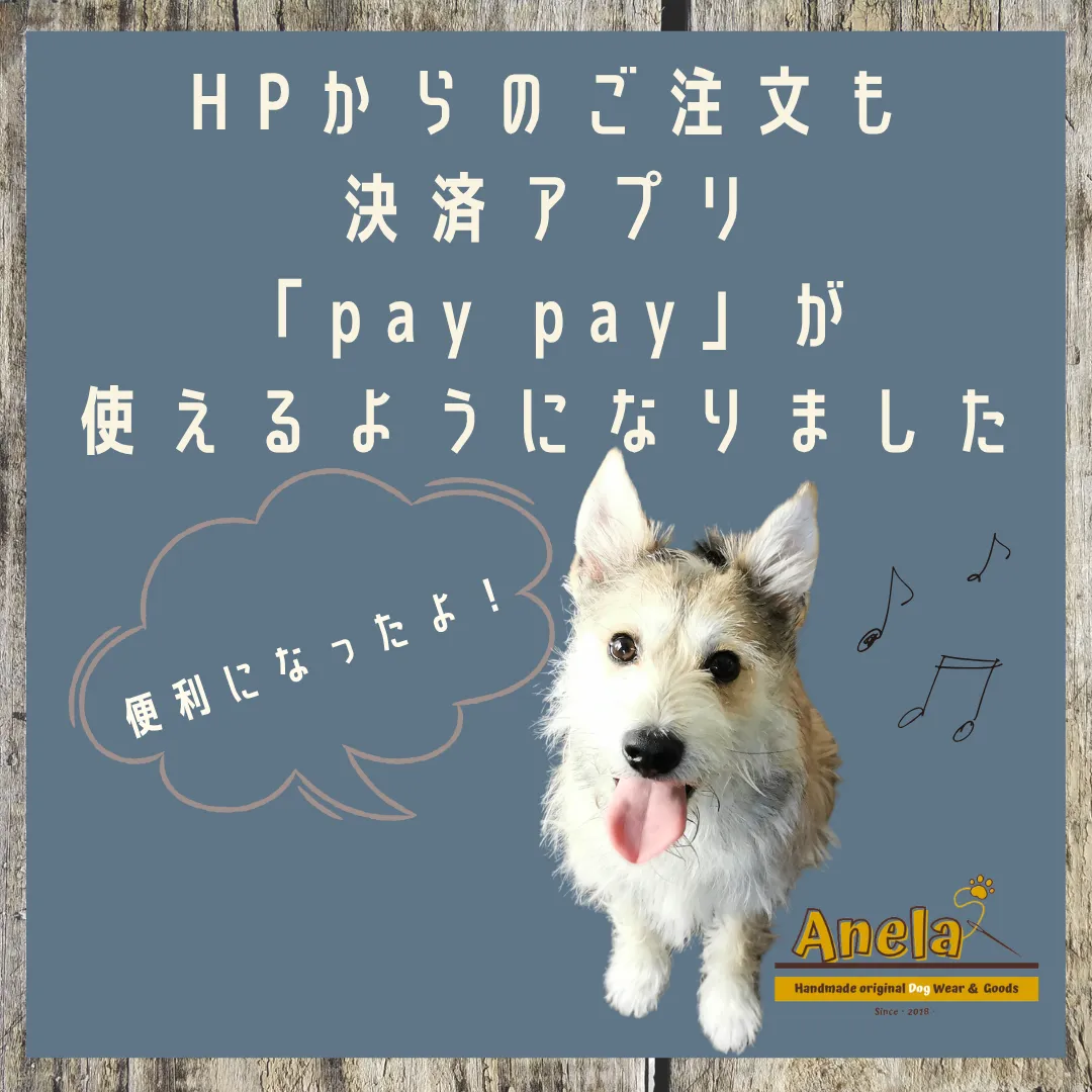 HPからのご注文もpay pay使えるようになりました☆