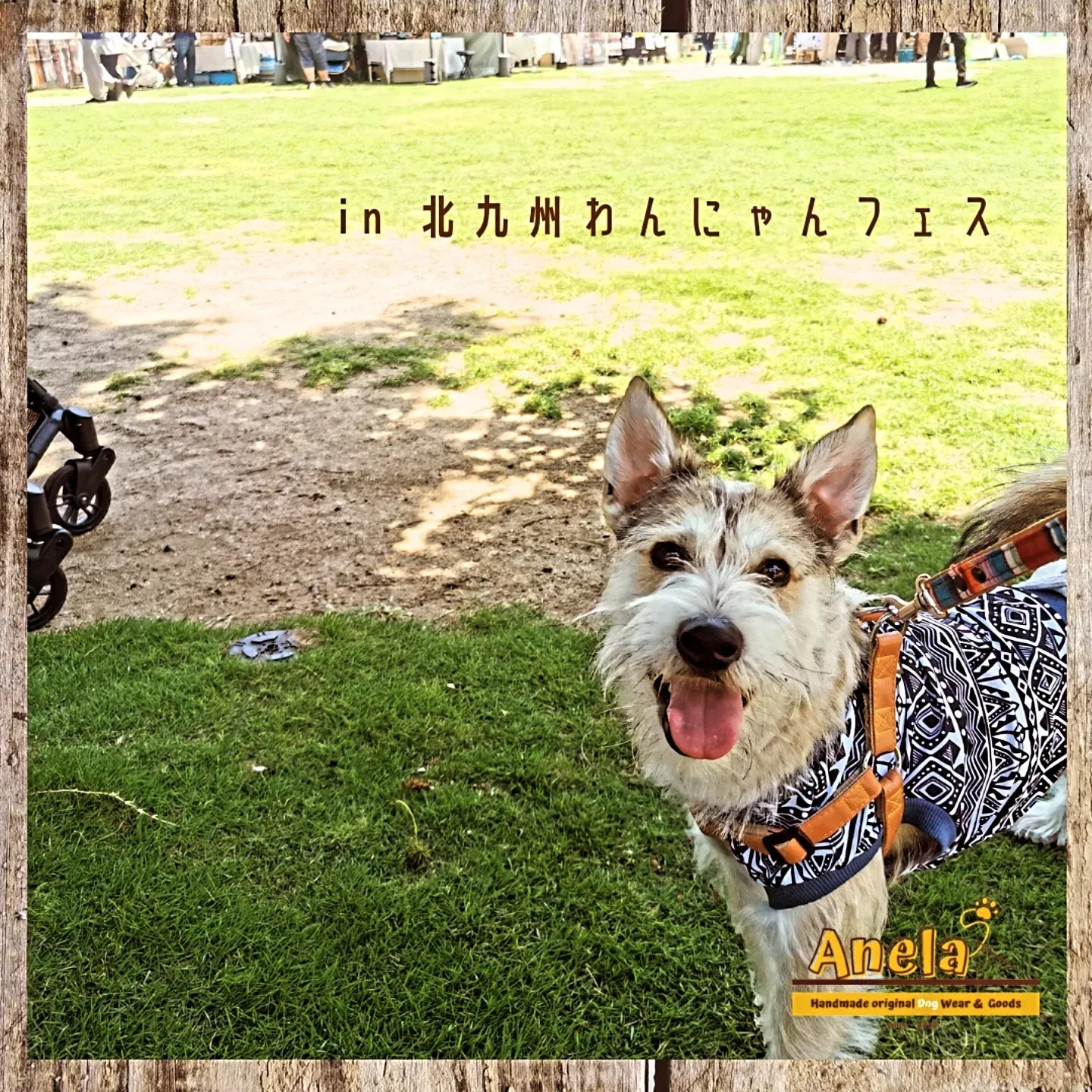 ちょっと、お出かけしてきました😊🎵