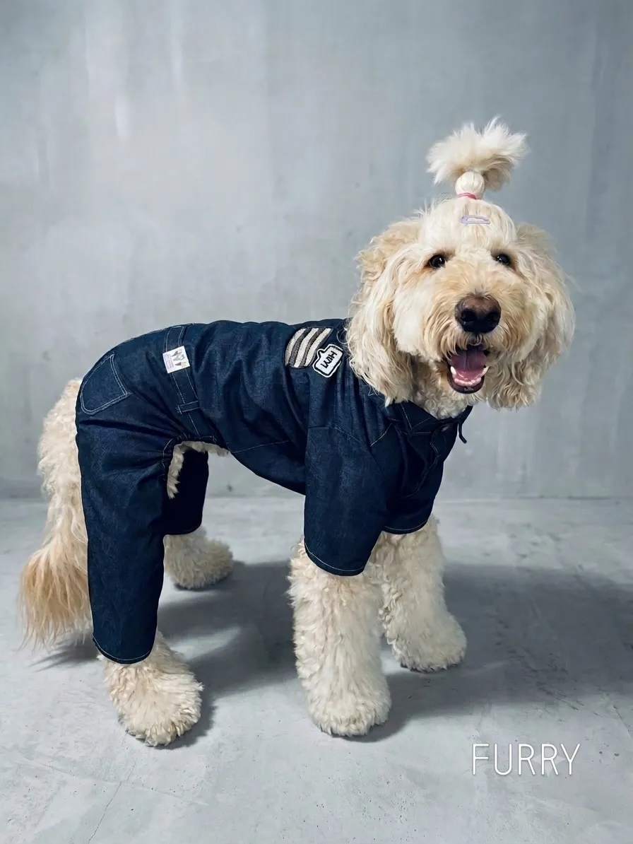 犬服教室☆生徒さんの素敵な作品✨