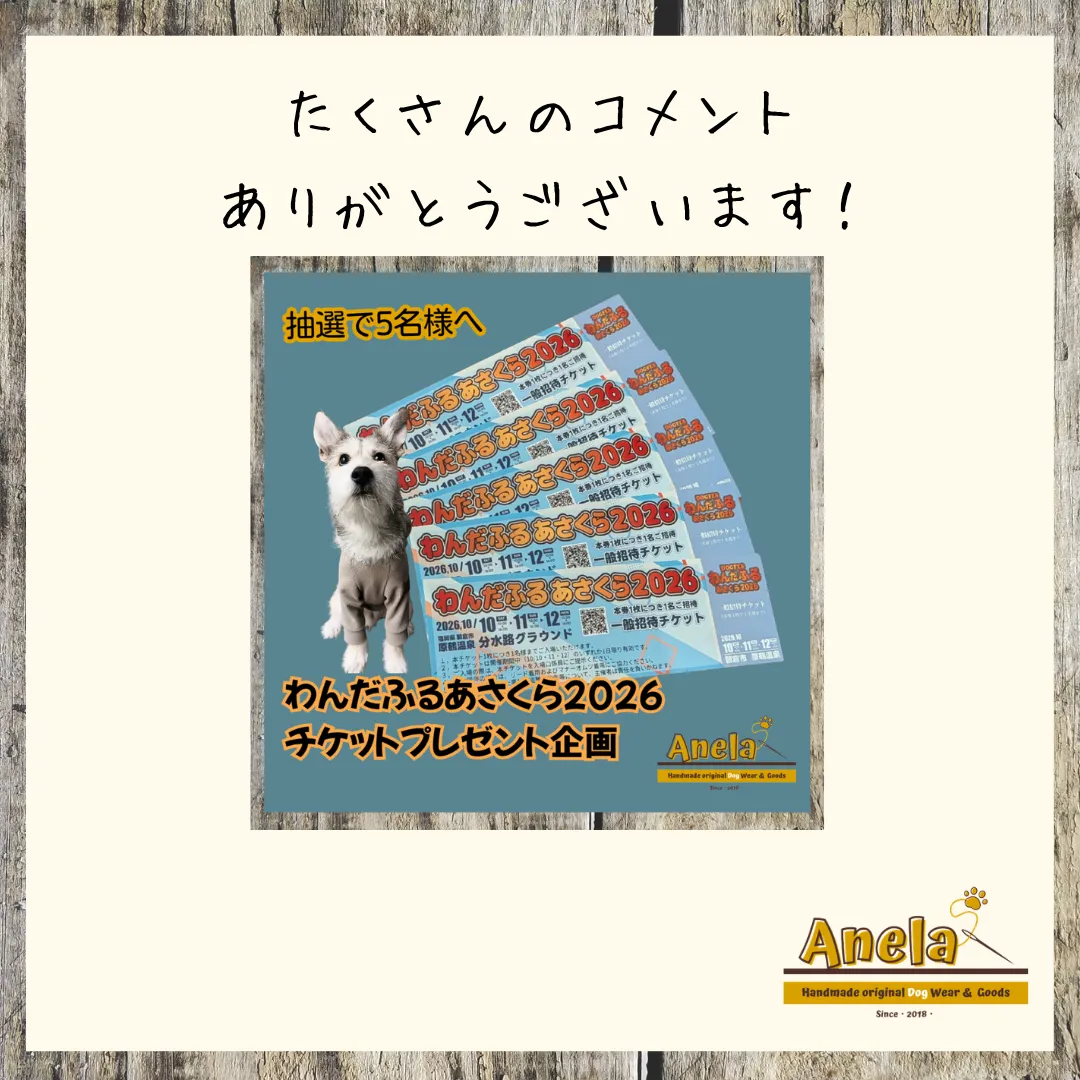 犬服教室　第5期生　初級講座　2回目☆本日、開催いたしました☆