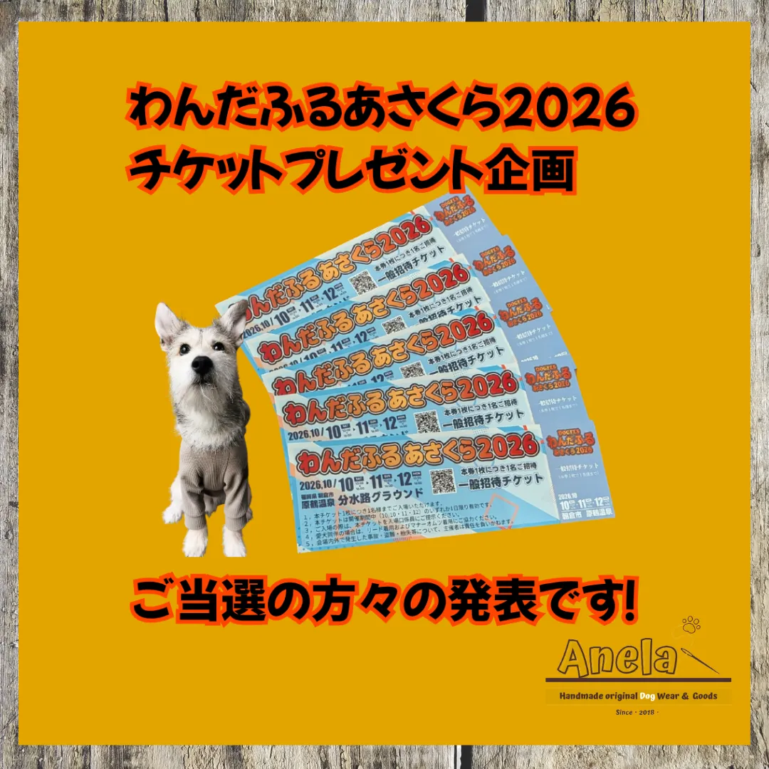 わんだふるあさくら2026☆チケットプレゼント企画の当選発表✨