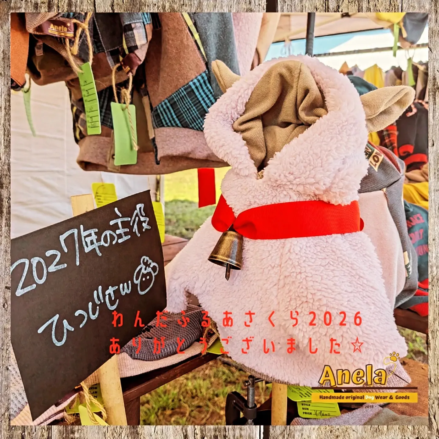 わんだふるあさくら2026☆3日間ありがとうございました😊💕
