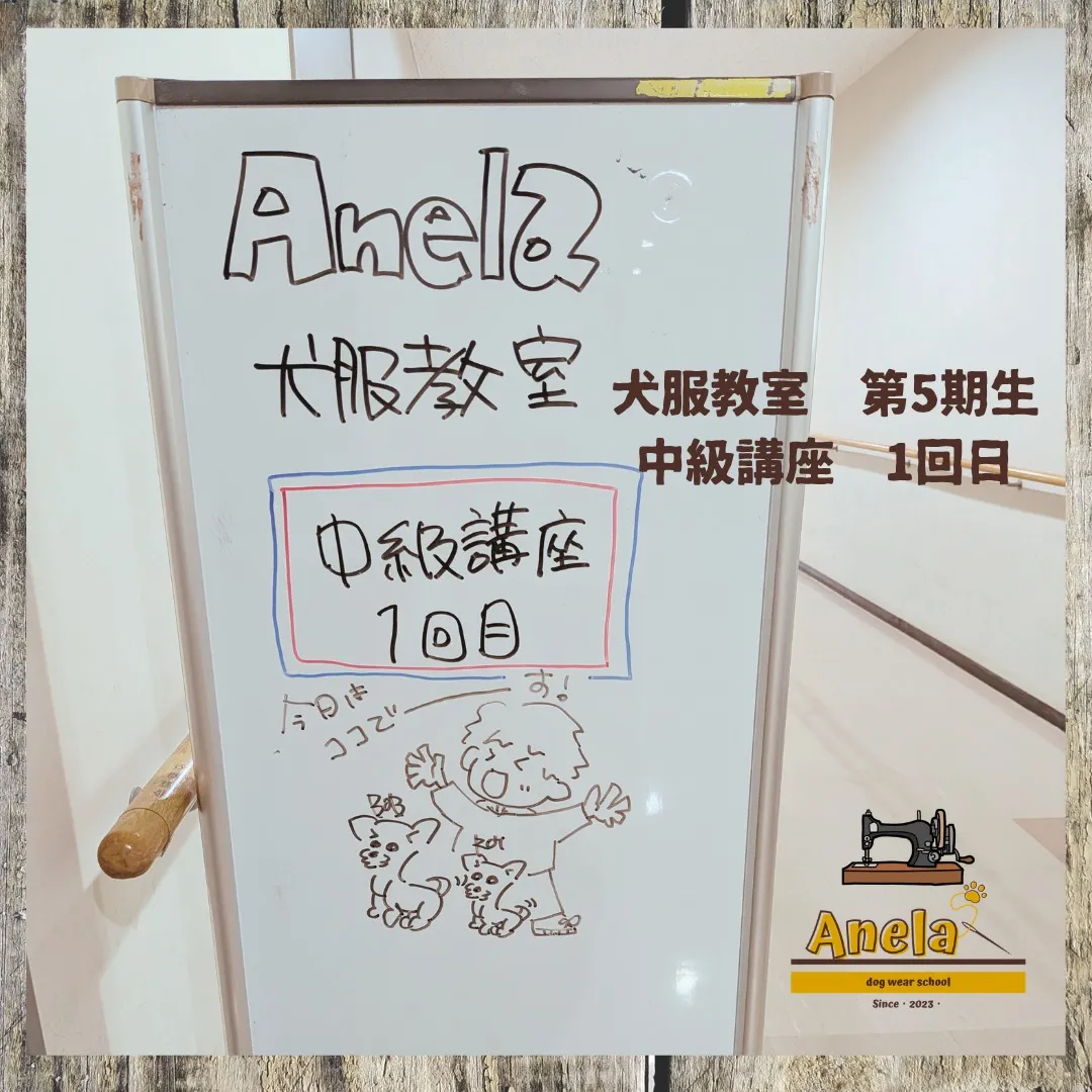 犬服教室　第5期生☆中級講座　1回目✨